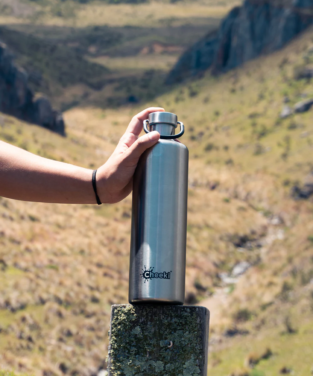 1 Litre Insulated Classic Bottle - Silver - Image 5
